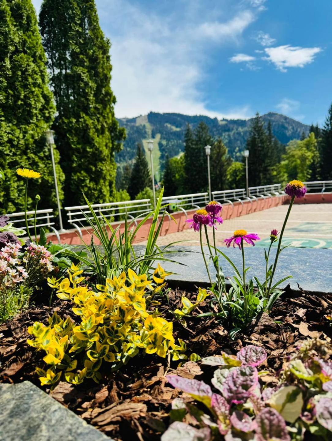 Hotel Piatra Mare Poiana Brašov Exteriér fotografie